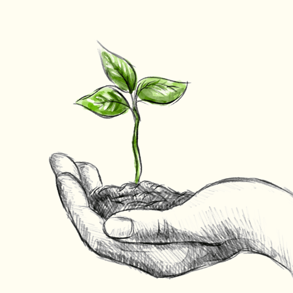 Sketch of a hand holding a young plant sprout with soil.